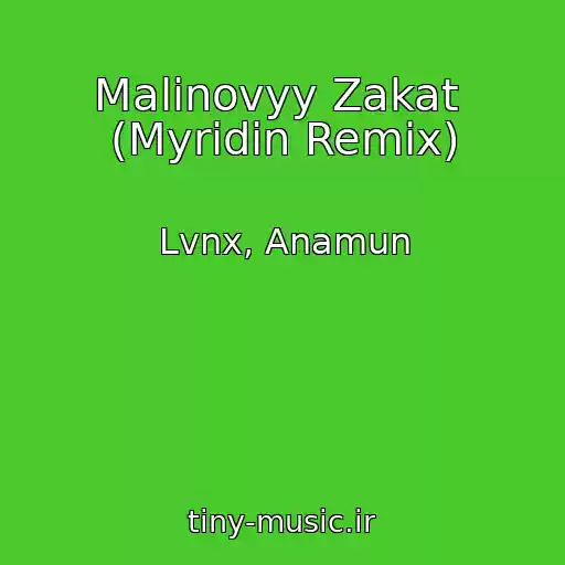 کاور آهنگ Malinovyy Zakat  (Myridin Remix) از Lvnx, Anamun