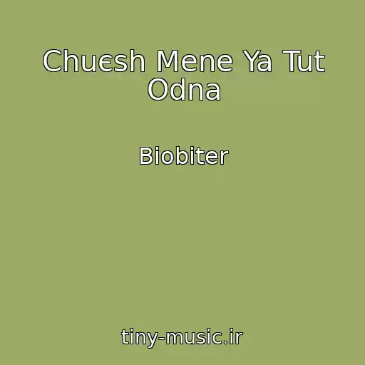 کاور آهنگ Chuєsh Mene Ya Tut Odna از Biobiter