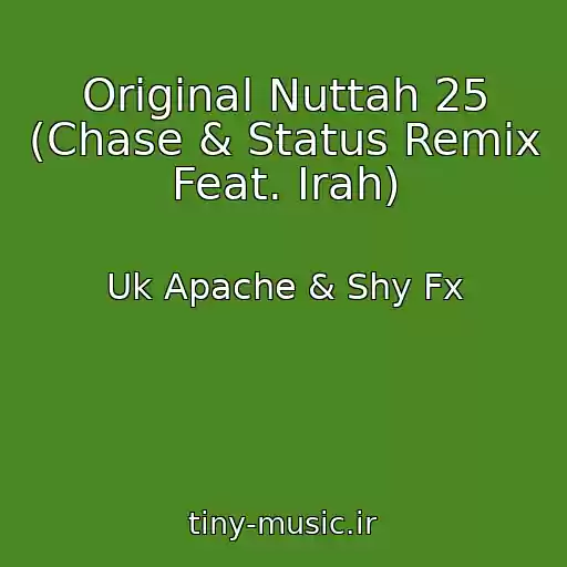 کاور آهنگ Original Nuttah 25 (Chase & Status Remix Feat. Irah) از Uk Apache & Shy Fx
