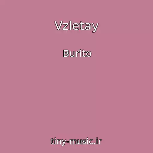 کاور آهنگ Vzletay از Burito