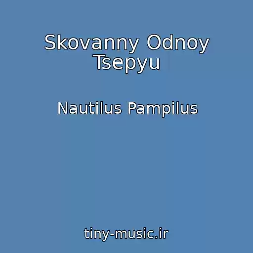 کاور آهنگ Skovanny Odnoy Tsepyu از Nautilus Pampilus