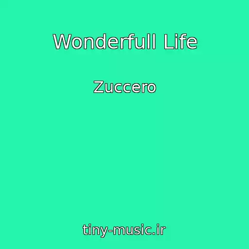 کاور آهنگ Wonderfull Life از Zuccero