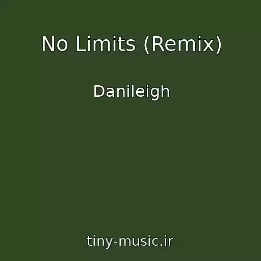 کاور آهنگ No Limits (Remix) از Danileigh