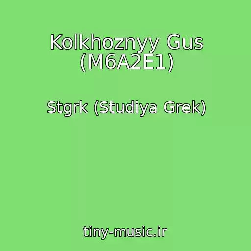 کاور آهنگ Kolkhoznyy Gus (M6A2E1) از Stgrk (Studiya Grek)