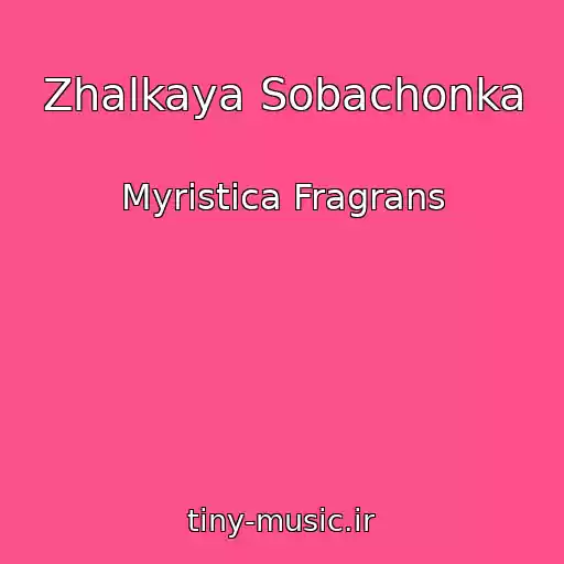 کاور آهنگ Zhalkaya Sobachonka از Myristica Fragrans