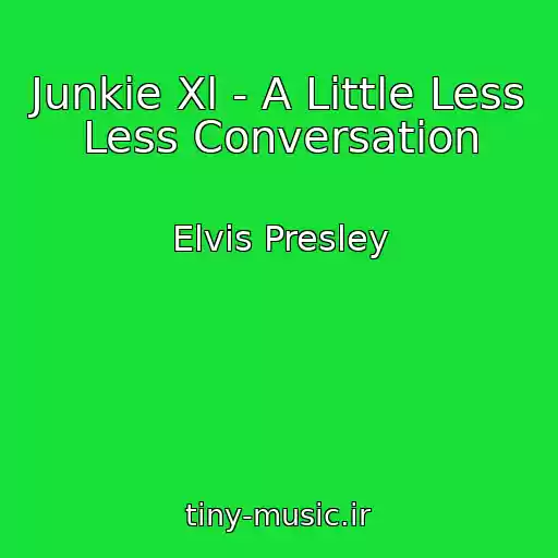 کاور آهنگ Junkie Xl - A Little Less Less Conversation از Elvis Presley