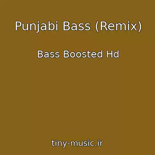 کاور آهنگ Punjabi Bass (Remix) از Bass Boosted Hd