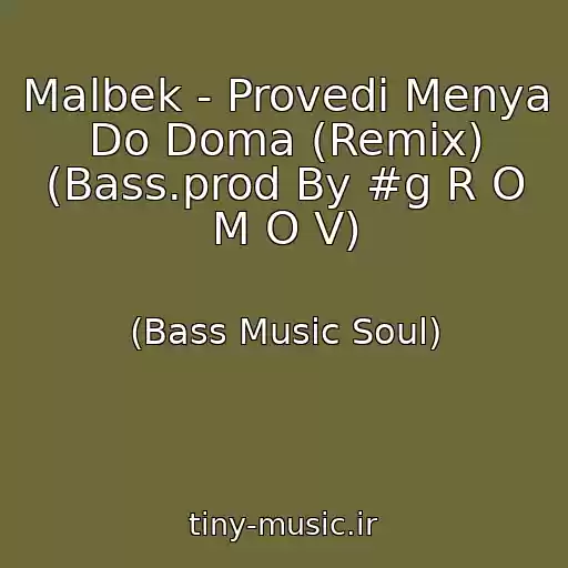 کاور آهنگ Malbek - Provedi Menya Do Doma (Remix) (Bass.prod By #g R O M O V) از (Bass Music Soul)