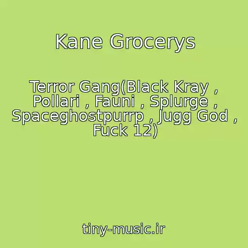 کاور آهنگ Kane Grocerys از Terror Gang(Black Kray , Pollari , Fauni , Splurge , Spaceghostpurrp , Jugg God , Fuck 12)