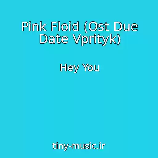 کاور آهنگ Pink Floid (Ost Due Date Vprityk) از Hey You