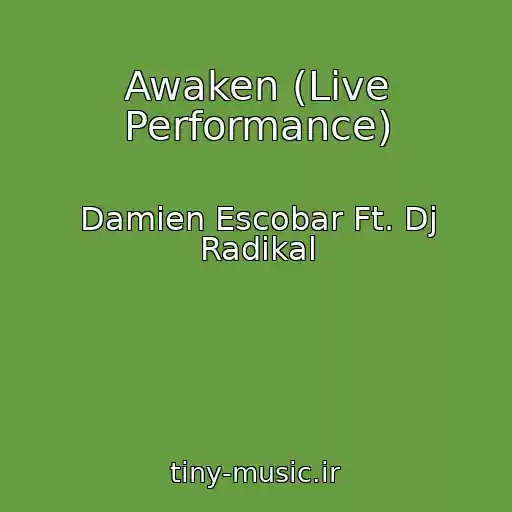 کاور آهنگ Awaken (Live Performance) از Damien Escobar Ft. Dj Radikal