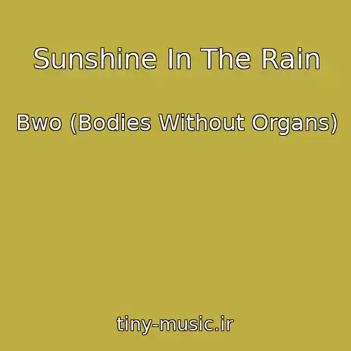 کاور آهنگ Sunshine In The Rain از Bwo (Bodies Without Organs)