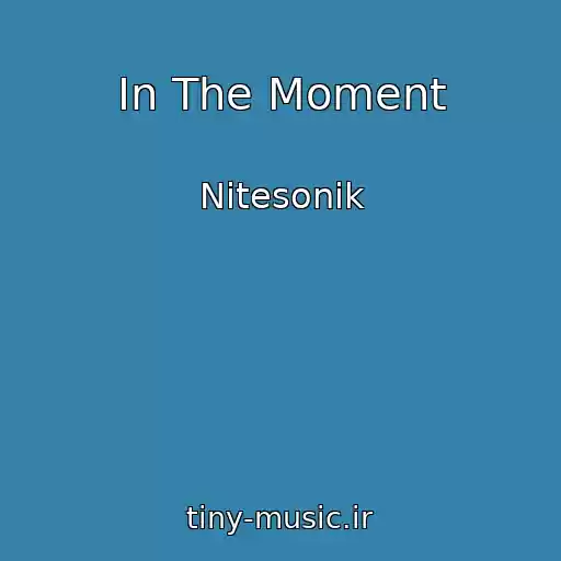کاور آهنگ In The Moment از Nitesonik
