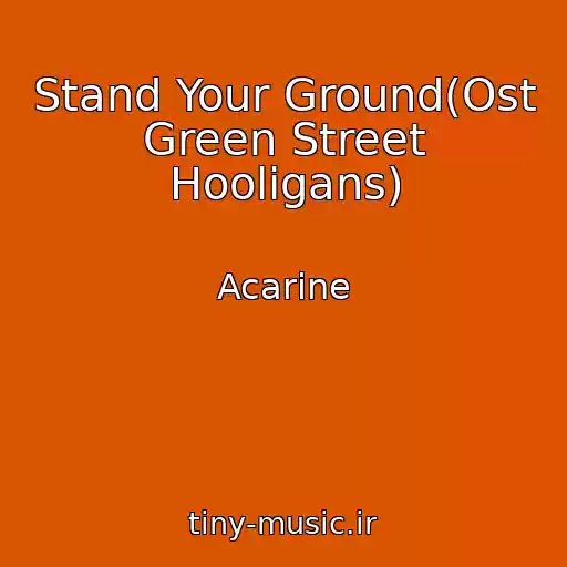 کاور آهنگ Stand Your Ground(Ost Green Street Hooligans) از Acarine