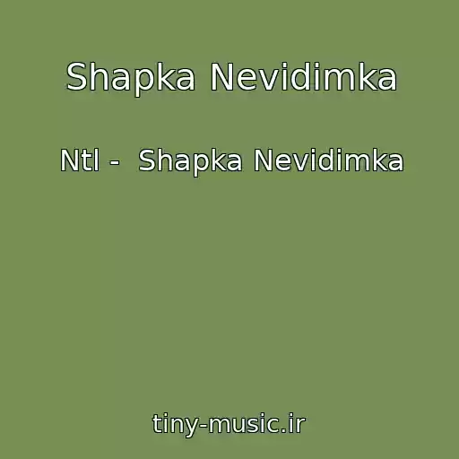 کاور آهنگ Shapka Nevidimka از Ntl -  Shapka Nevidimka