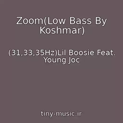 کاور آهنگ Zoom(Low Bass By Koshmar) از (31,33,35Hz)Lil Boosie Feat. Young Joc