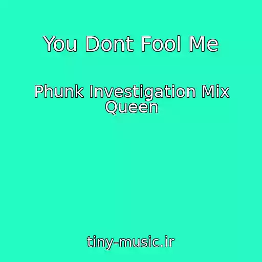 کاور آهنگ You Dont Fool Me از Phunk Investigation Mix Queen