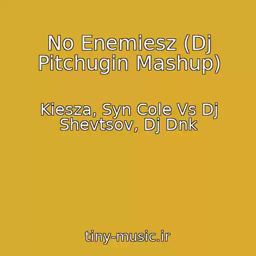 کاور آهنگ No Enemiesz (Dj Pitchugin Mashup) از Kiesza, Syn Cole Vs Dj Shevtsov, Dj Dnk