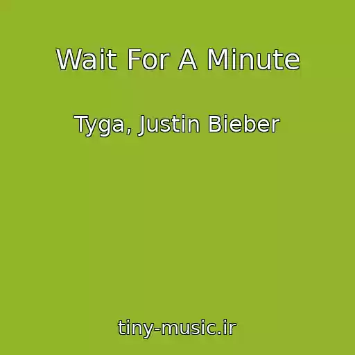 کاور آهنگ Wait For A Minute از Tyga, Justin Bieber