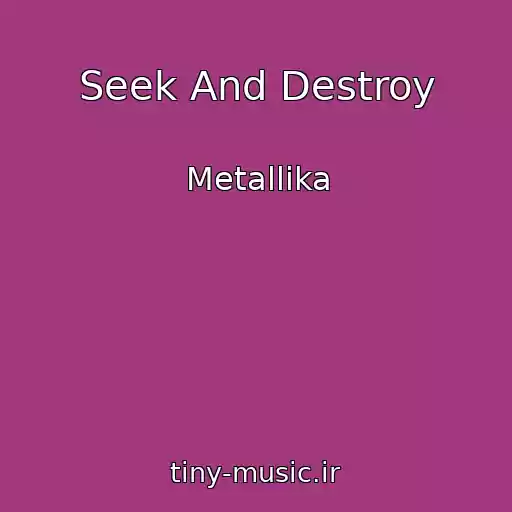 کاور آهنگ Seek And Destroy از Metallika