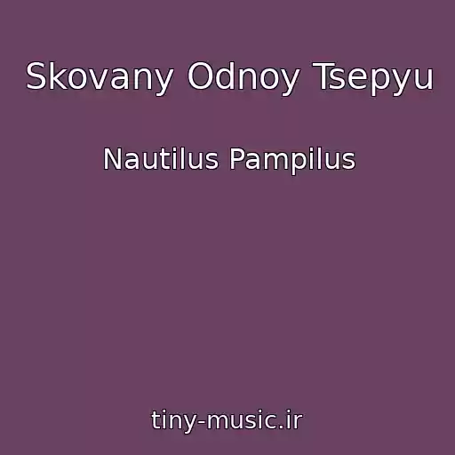 کاور آهنگ Skovany Odnoy Tsepyu از Nautilus Pampilus