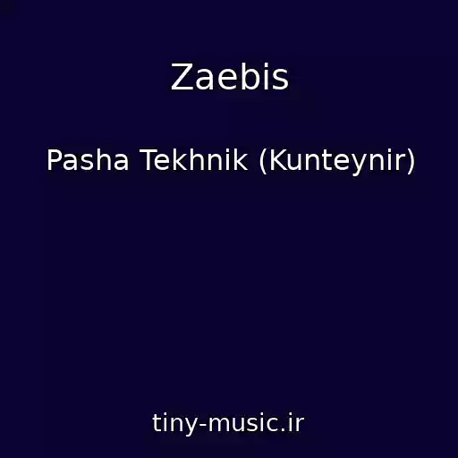 کاور آهنگ Zaebis از Pasha Tekhnik (Kunteynir)