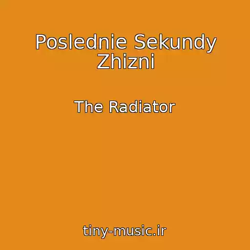 کاور آهنگ Poslednie Sekundy Zhizni از The Radiator