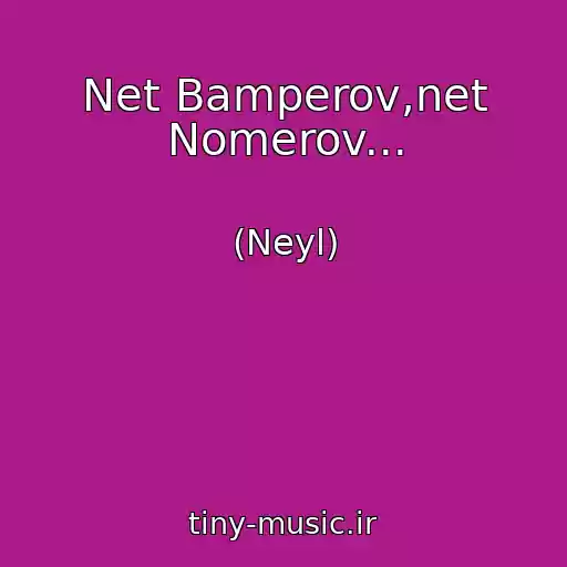 کاور آهنگ Net Bamperov,net Nomerov... از (Neyl)