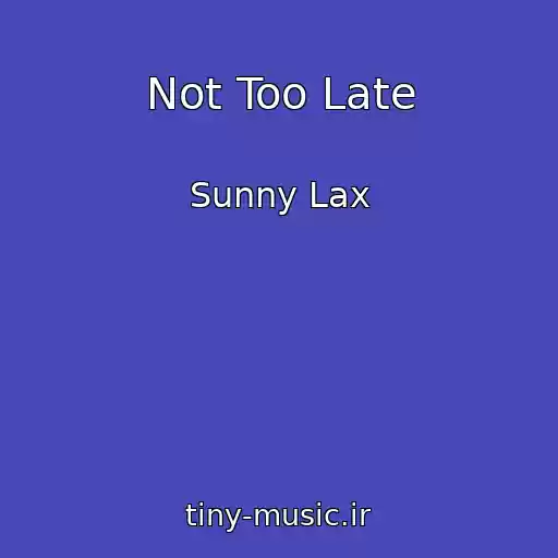 کاور آهنگ Not Too Late از Sunny Lax