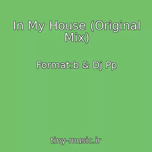 کاور آهنگ In My House (Original Mix) از Format:b & Dj Pp