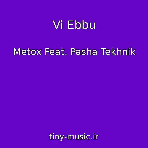 کاور آهنگ Vi Ebbu از Metox Feat. Pasha Tekhnik