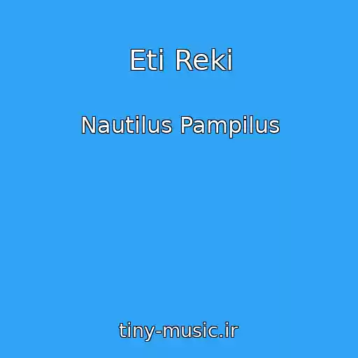 کاور آهنگ Eti Reki از Nautilus Pampilus