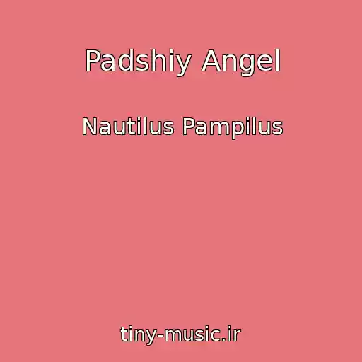 کاور آهنگ Padshiy Angel از Nautilus Pampilus
