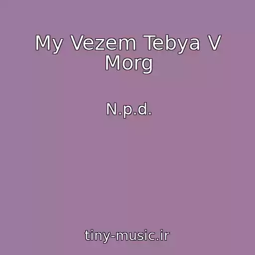 کاور آهنگ My Vezem Tebya V Morg از N.p.d.