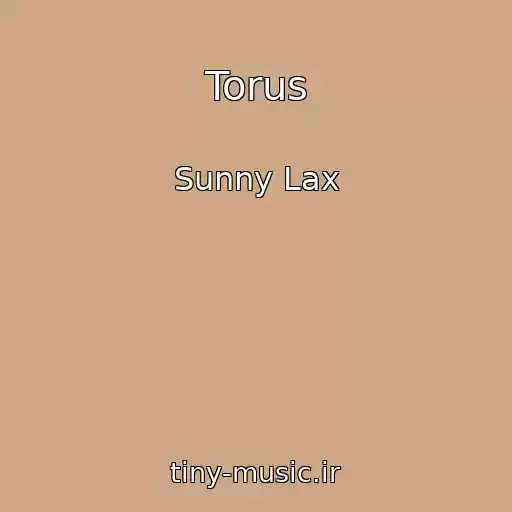 کاور آهنگ Torus از Sunny Lax