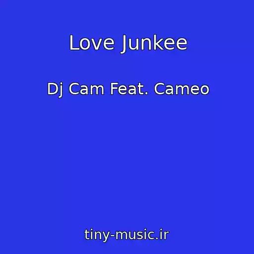 کاور آهنگ Love Junkee از Dj Cam Feat. Cameo