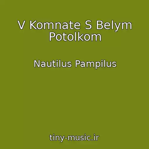 کاور آهنگ V Komnate S Belym Potolkom از Nautilus Pampilus