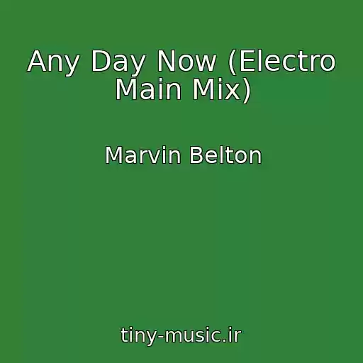 کاور آهنگ Any Day Now (Electro Main Mix) از Marvin Belton