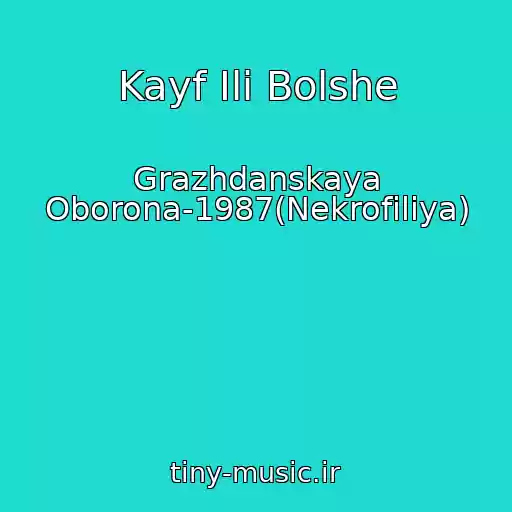 کاور آهنگ Kayf Ili Bolshe از Grazhdanskaya Oborona-1987(Nekrofiliya)