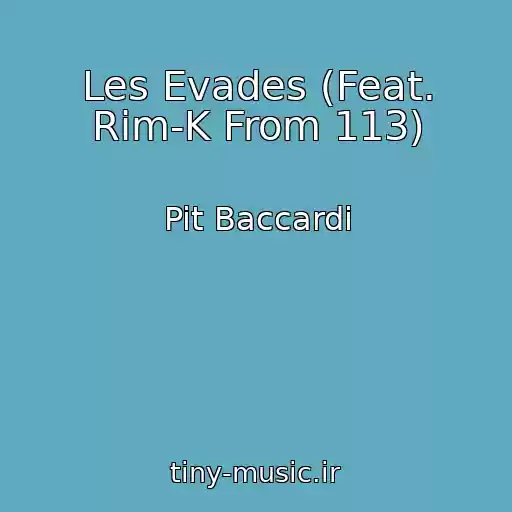 کاور آهنگ Les Evades (Feat. Rim-K From 113) از Pit Baccardi
