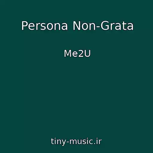 کاور آهنگ Persona Non-Grata از Me2U