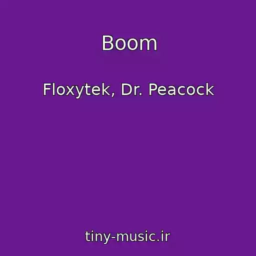 کاور آهنگ Boom از Floxytek, Dr. Peacock