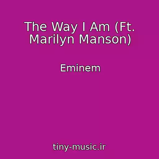 کاور آهنگ The Way I Am (Ft. Marilyn Manson) از Eminem