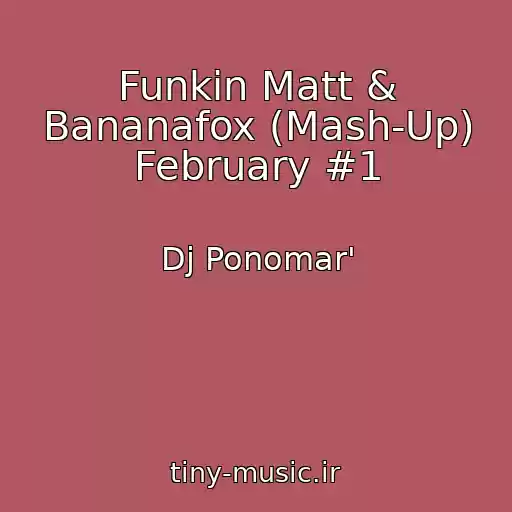 کاور آهنگ Funkin Matt & Bananafox (Mash-Up) February #1 از Dj Ponomar'