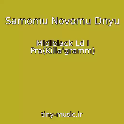 کاور آهنگ Samomu Novomu Dnyu از Midiblack Ld I Pra(Killa'gramm)