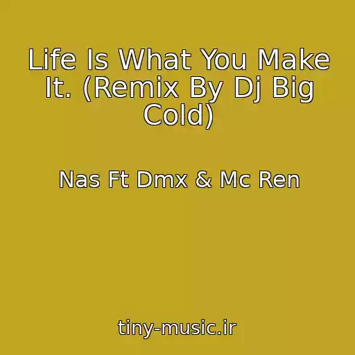 کاور آهنگ Life Is What You Make It. (Remix By Dj Big Cold) از Nas Ft Dmx & Mc Ren