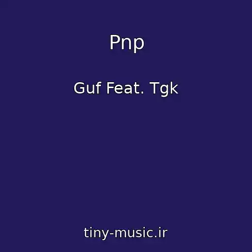 کاور آهنگ Pnp از Guf Feat. Tgk