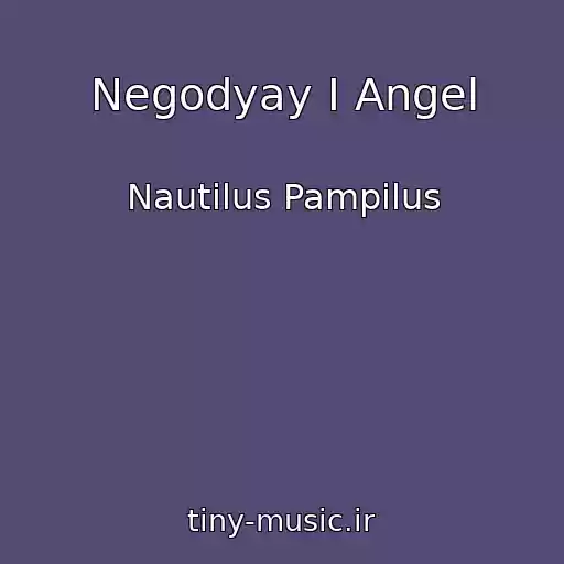 کاور آهنگ Negodyay I Angel از Nautilus Pampilus