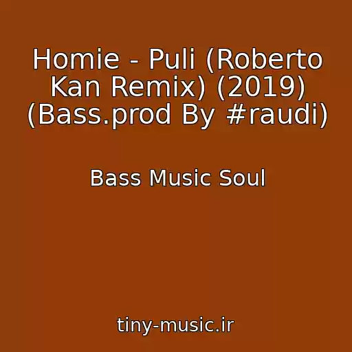 کاور آهنگ Homie - Puli (Roberto Kan Remix) (2019) (Bass.prod By #raudi) از Bass Music Soul