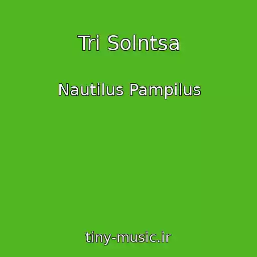 کاور آهنگ Tri Solntsa از Nautilus Pampilus